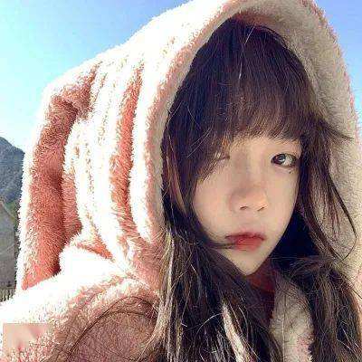 4949澳门免费资料大全