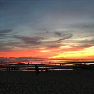 炸金花单机游戏手机app下载