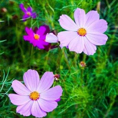 亚博体育(中国)官方网站